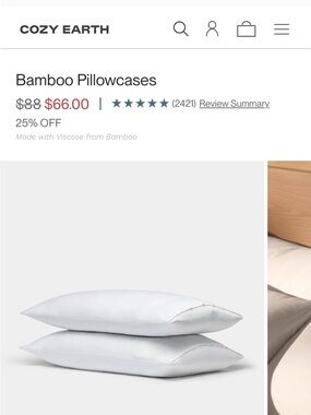 Cozy Earth King White Bamboo Pillowcases